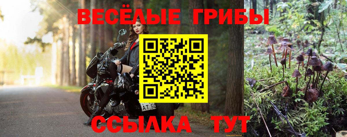 Волгодонск  Галлюциногенные грибы ЛСД  Вход с VPN 